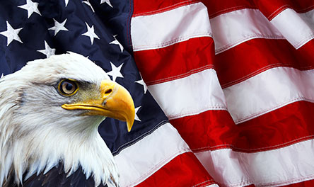 A bald eagle in front of an American flag. His head is bowed in prayer for our society, our government, and our leaders.